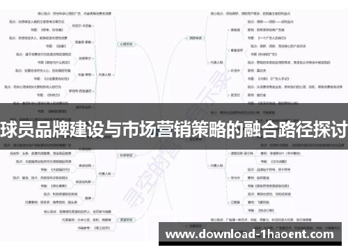 球员品牌建设与市场营销策略的融合路径探讨
